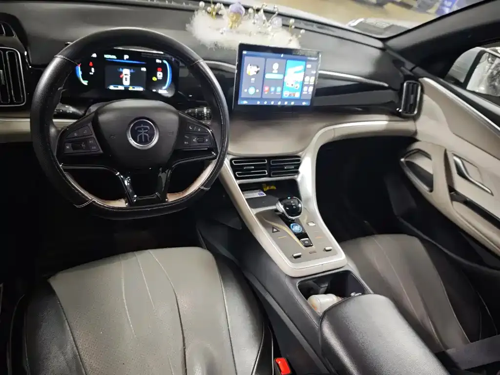 BYD Pro New Energy — фото 2