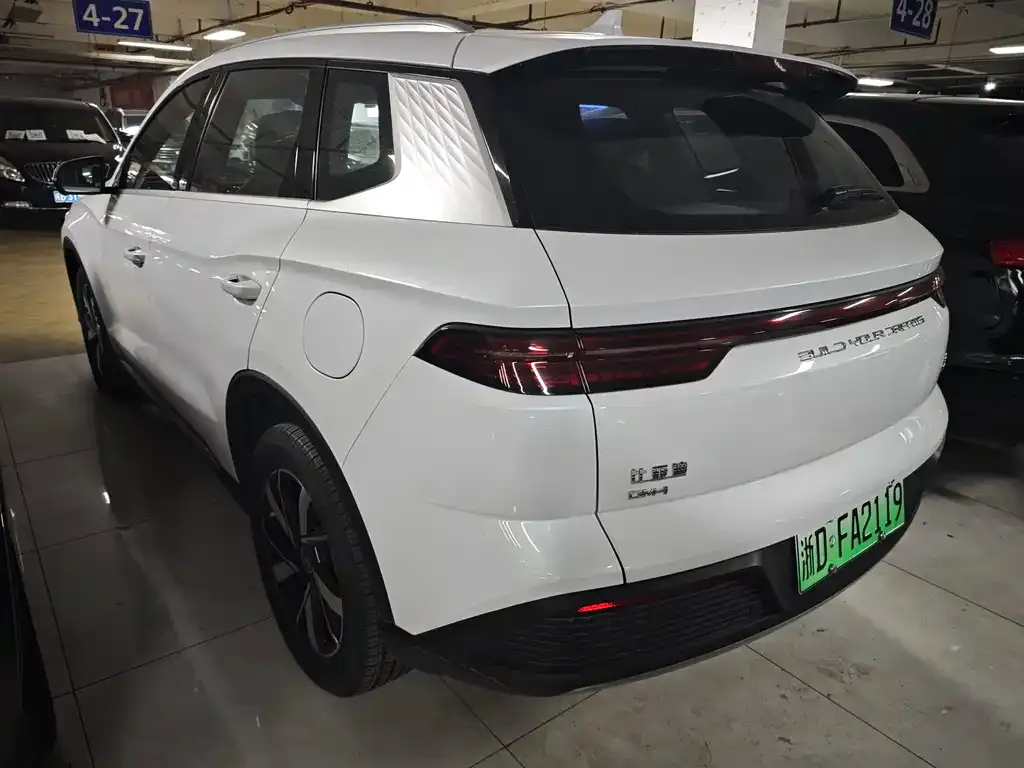 BYD Pro New Energy — фото 7
