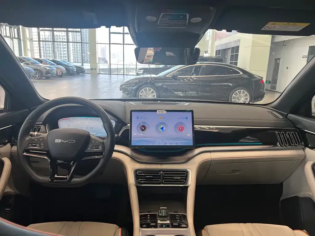 BYD PLUS New Energy 2024 из CN, фото 6