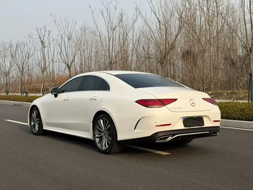 Mercedes-Benz CLS 2021 из CN, фото 8