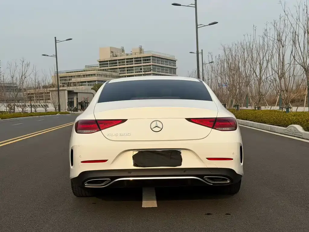 Mercedes-Benz CLS 2021 из CN, фото 2