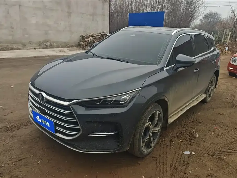 BYD Tang New Energy 2023 из CN, фото 1