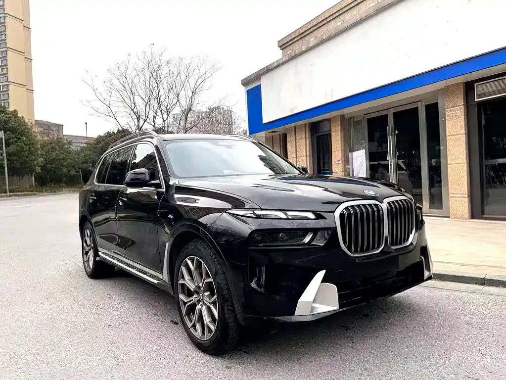 BMW X7 — фото 9