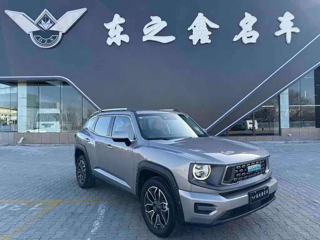 Haval H7 (Big Dog Plus) New Energy — фото 8