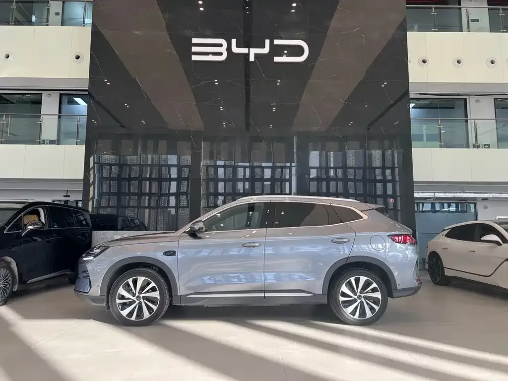 BYD PLUS New Energy — фото 2