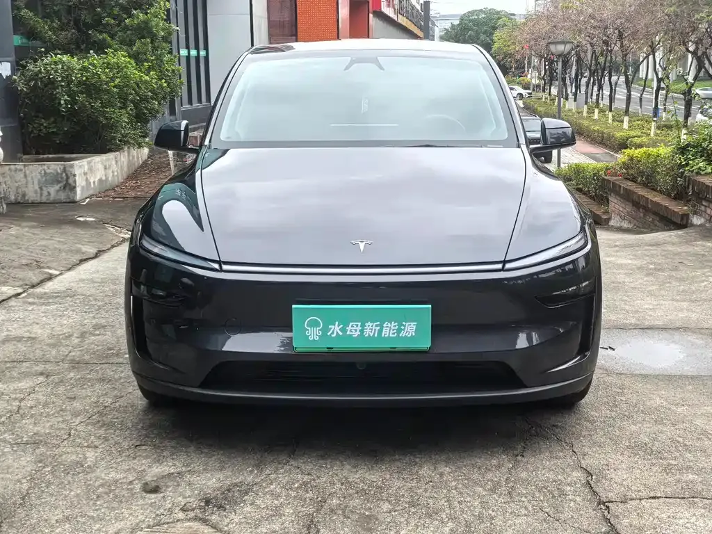 Tesla Model Y — фото 9