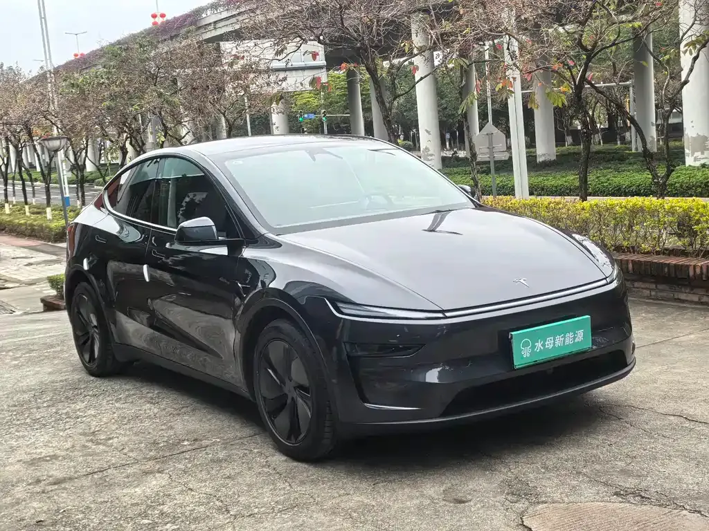 Tesla Model Y — фото 6