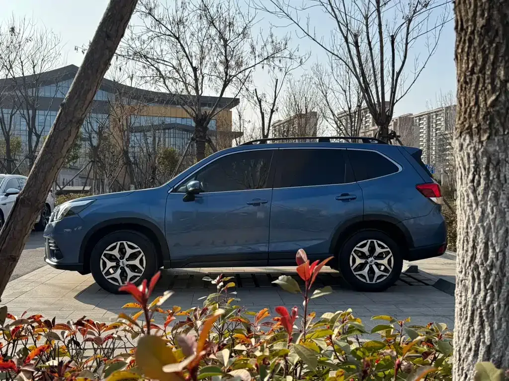 Subaru Forester 2022 из CN, фото 6