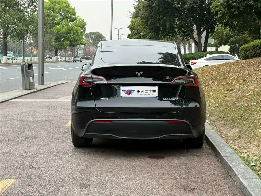 Tesla Model Y 2022 из CN, фото 8