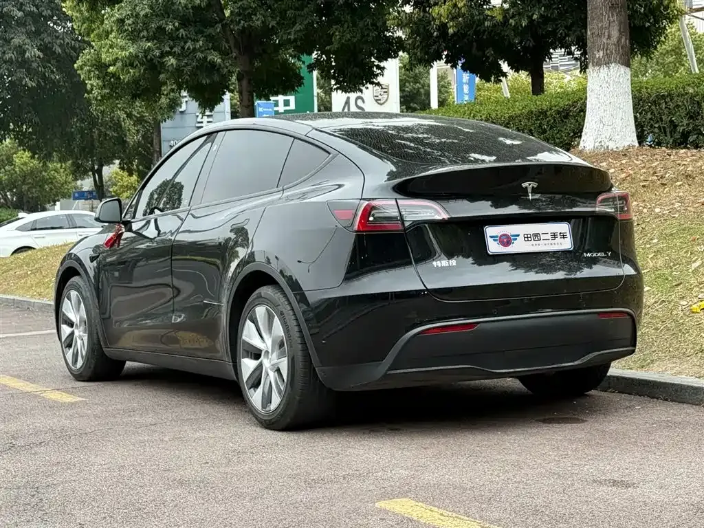 Tesla Model Y 2022 из CN, фото 5