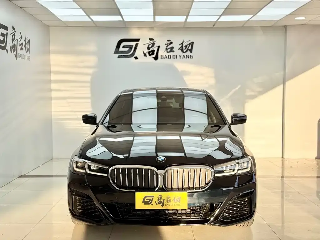 BMW 5 Series 2022 из CN, фото 9