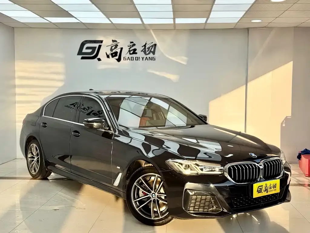 BMW 5 Series 2022 из CN, фото 7