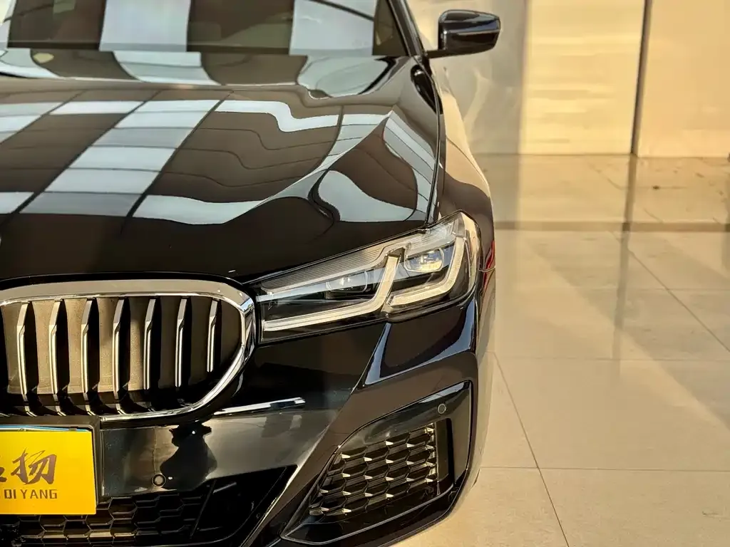BMW 5 Series 2022 из CN, фото 3