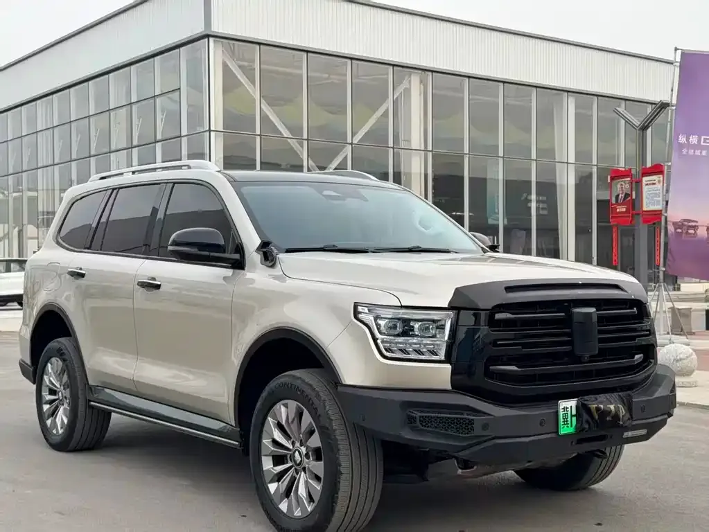 Tank 500 New Energy 2025 из CN, фото 5