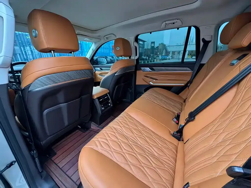 Tank 500 New Energy 2025 из CN, фото 9