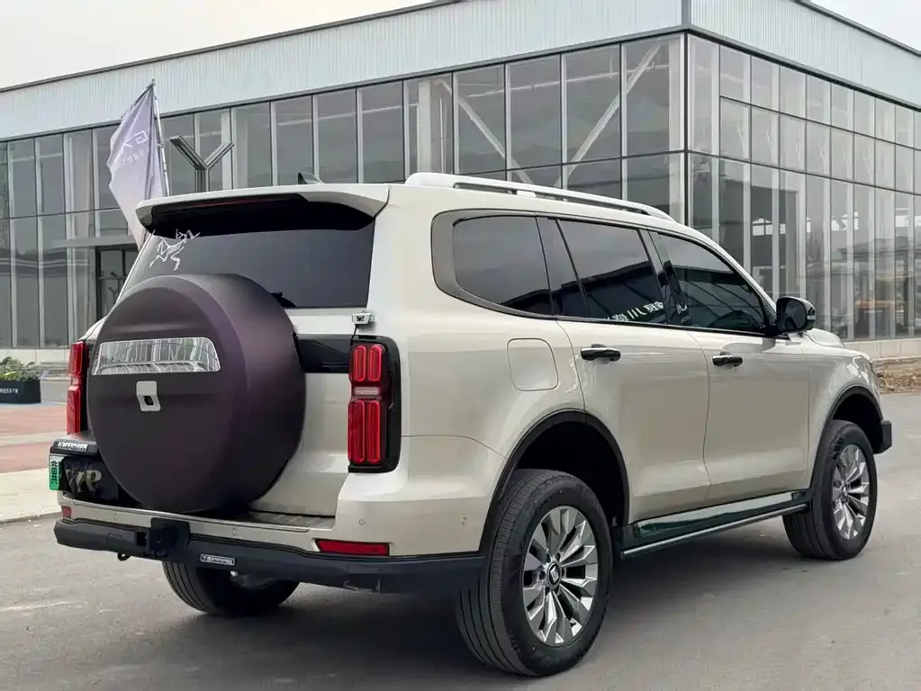 Tank 500 New Energy 2025 из CN, фото 7