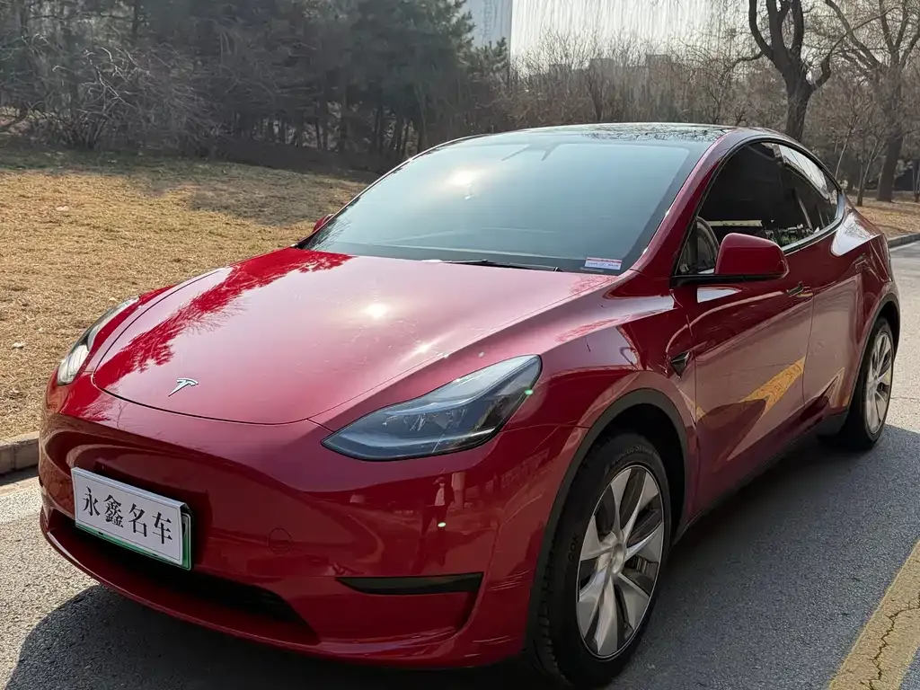 Tesla Model Y — фото 1