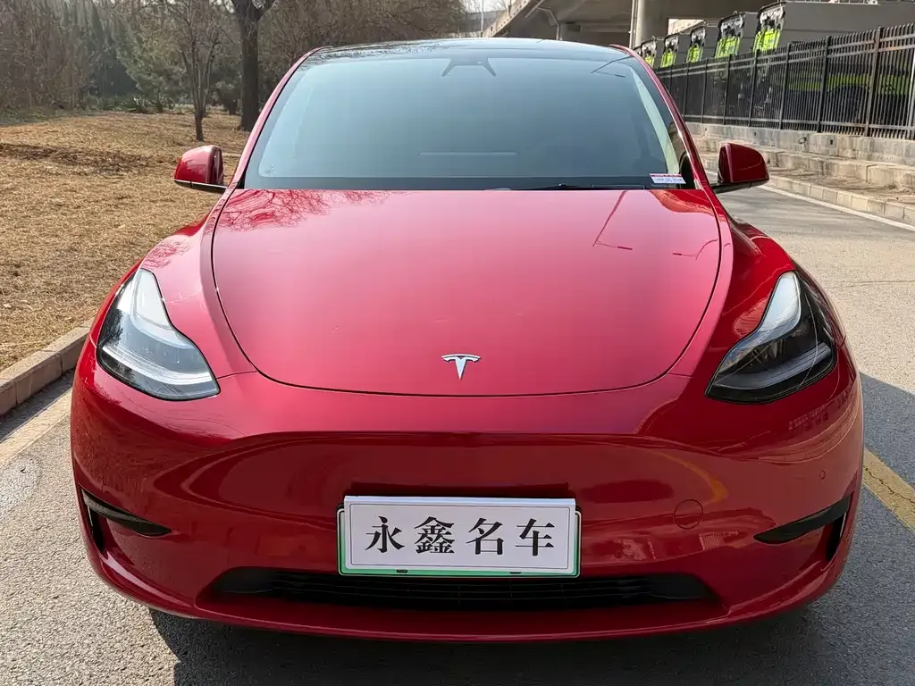 Tesla Model Y — фото 8