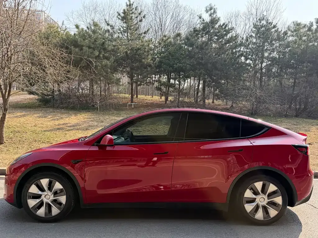 Tesla Model Y — фото 7