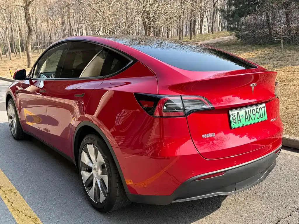 Tesla Model Y — фото 9