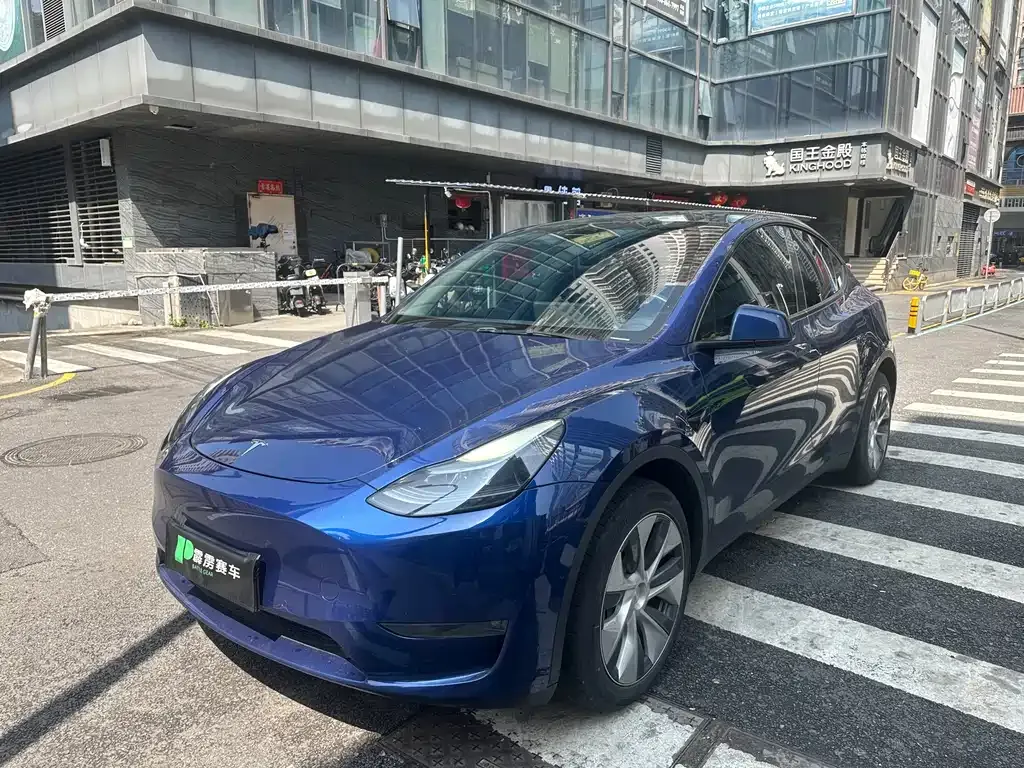 Tesla Model Y 2023 из CN, фото 1