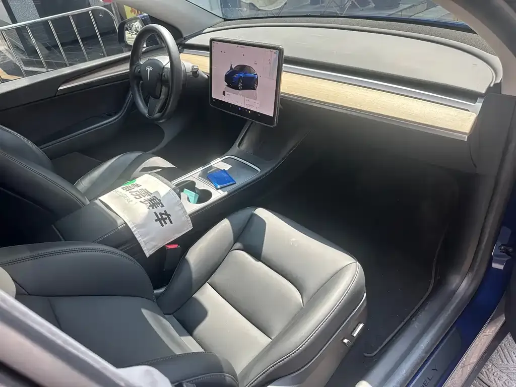 Tesla Model Y 2023 из CN, фото 2