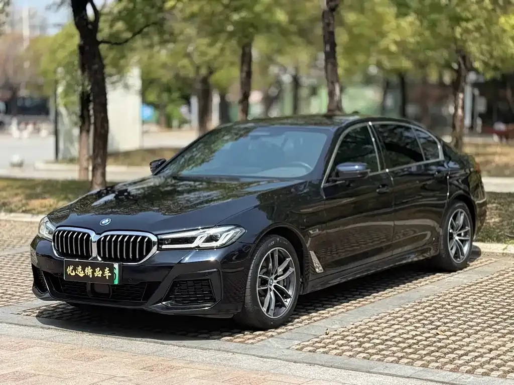 BMW 5 Series New Energy — фото 1
