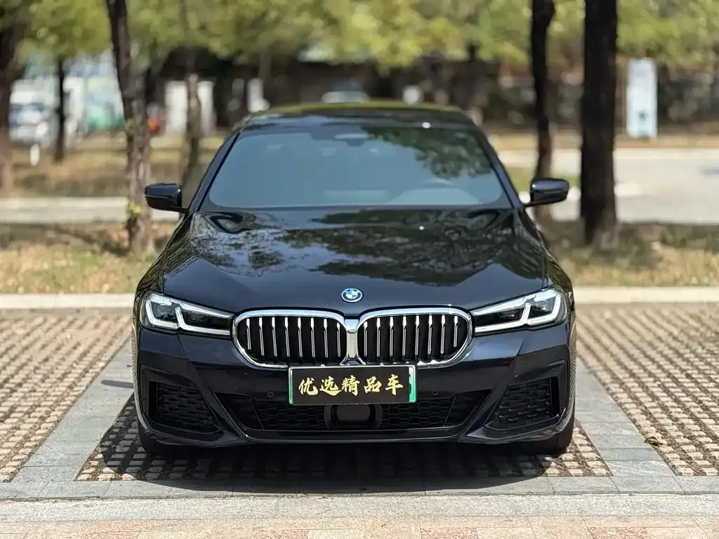 BMW 5 Series New Energy — фото 6