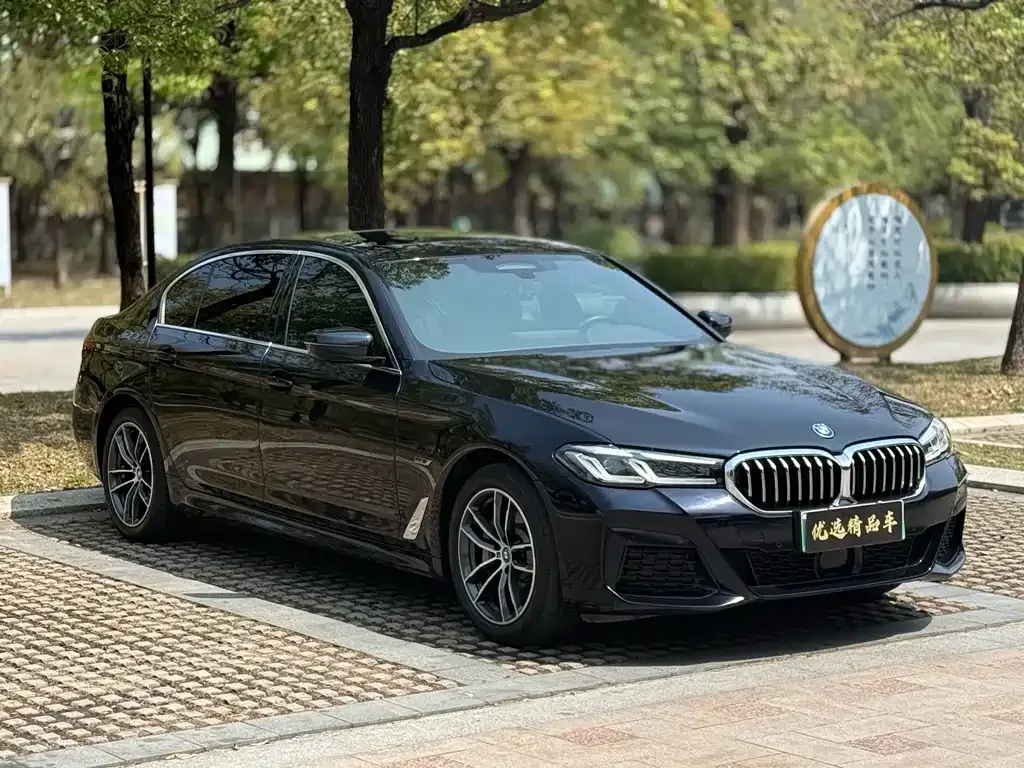 BMW 5 Series New Energy — фото 4