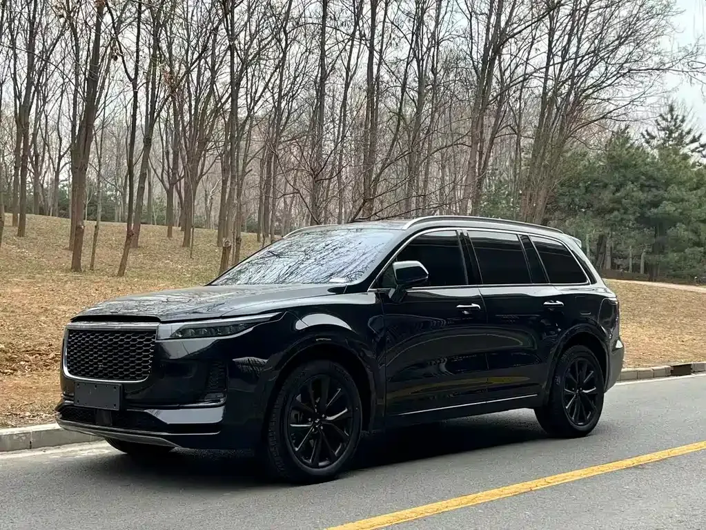 Li Auto ONE 2022 из CN, фото 1