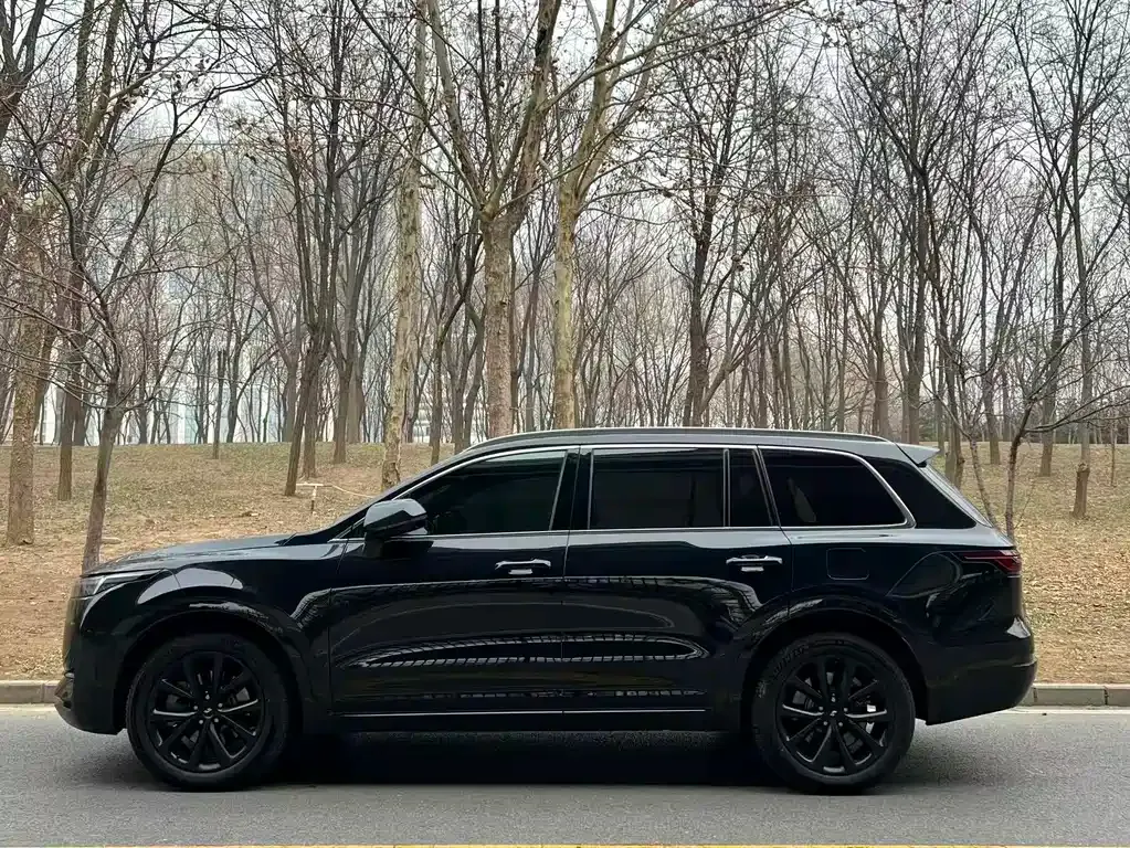 Li Auto ONE 2022 из CN, фото 10