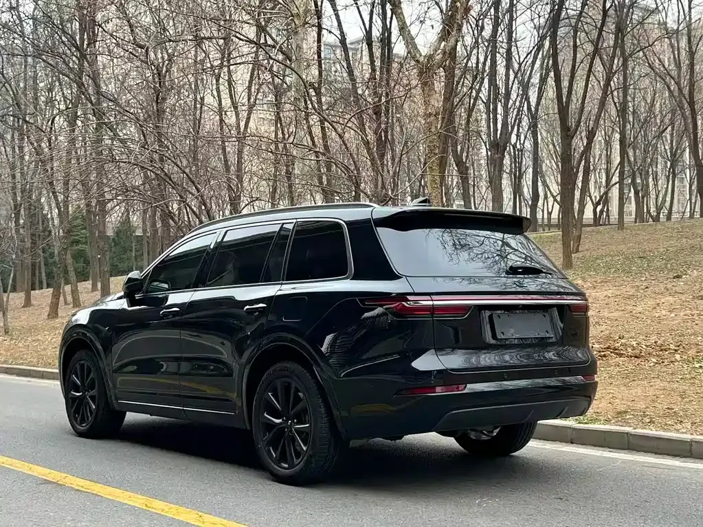 Li Auto ONE 2022 из CN, фото 9