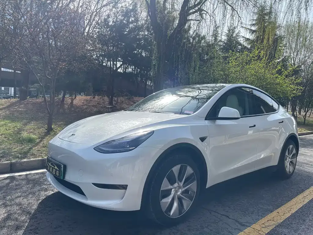 Tesla Model Y — фото 8