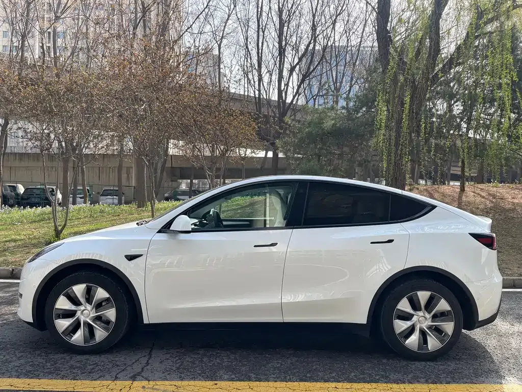 Tesla Model Y — фото 10
