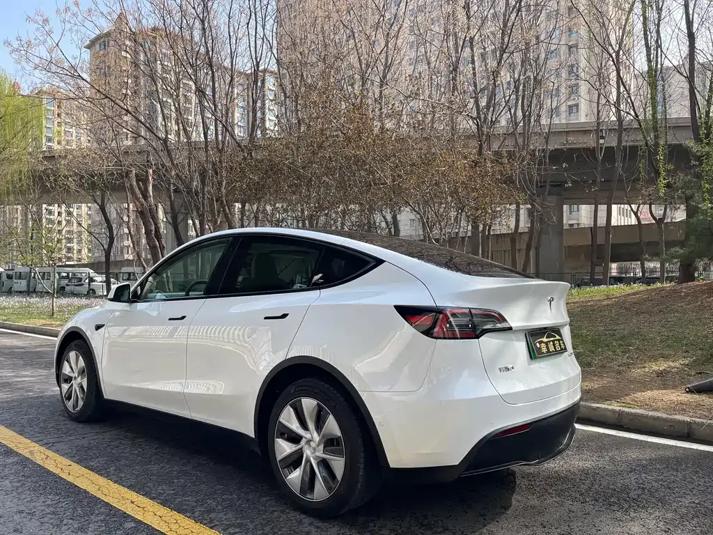 Tesla Model Y — фото 9