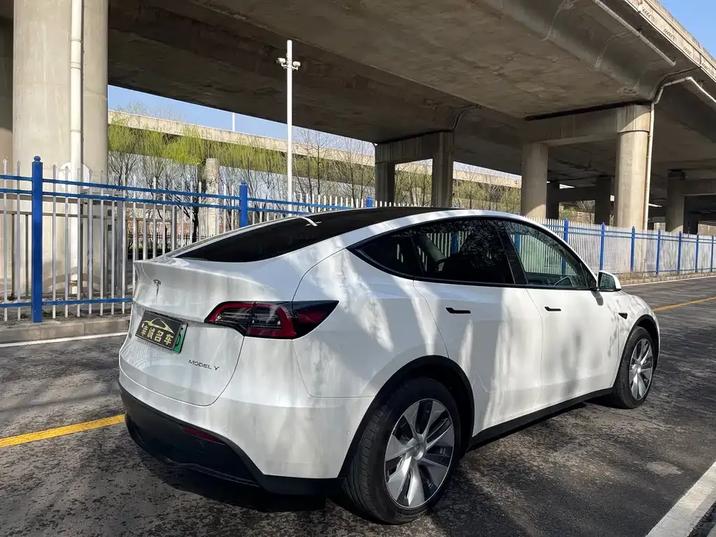 Tesla Model Y — фото 4
