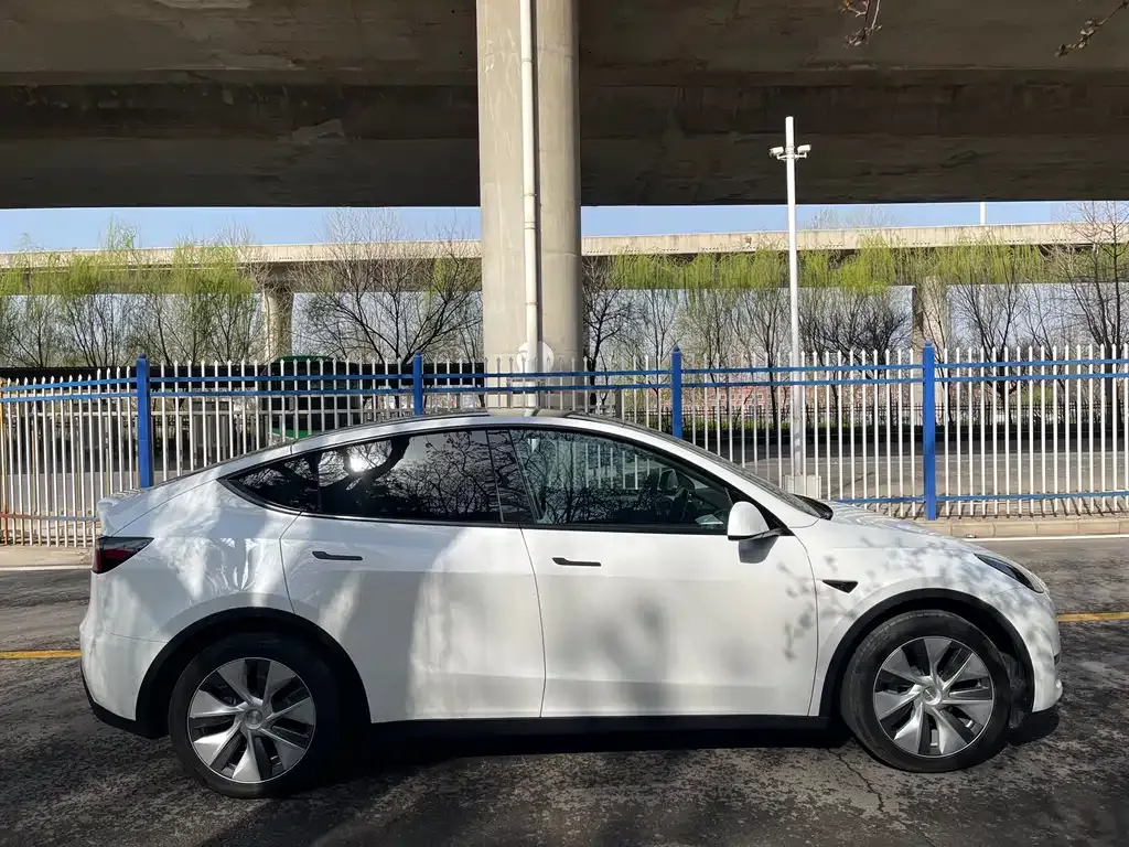 Tesla Model Y — фото 2