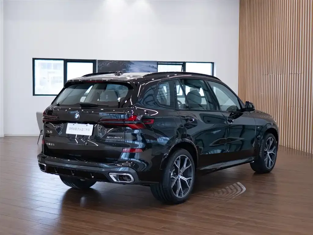 BMW X5 2026 из CN, фото 3