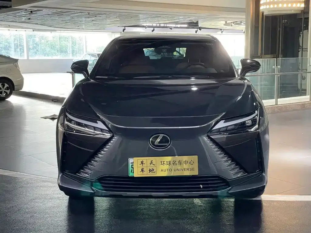 Lexus RZ — фото 6