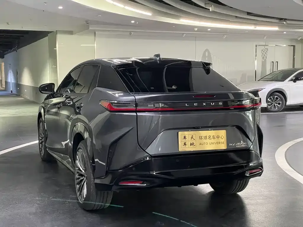 Lexus RZ — фото 10