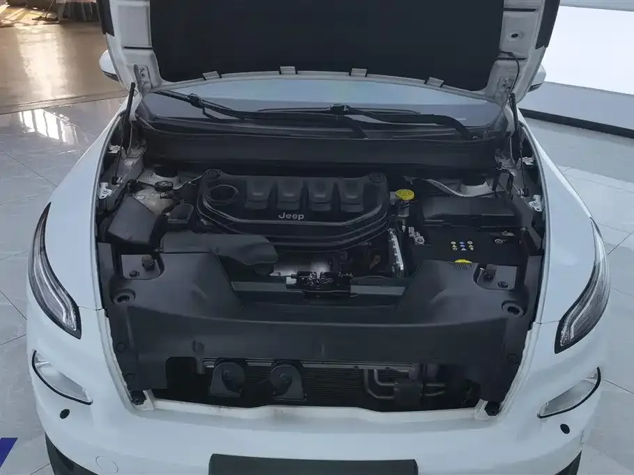 Jeep Cherokee 2021 из CN, фото 6