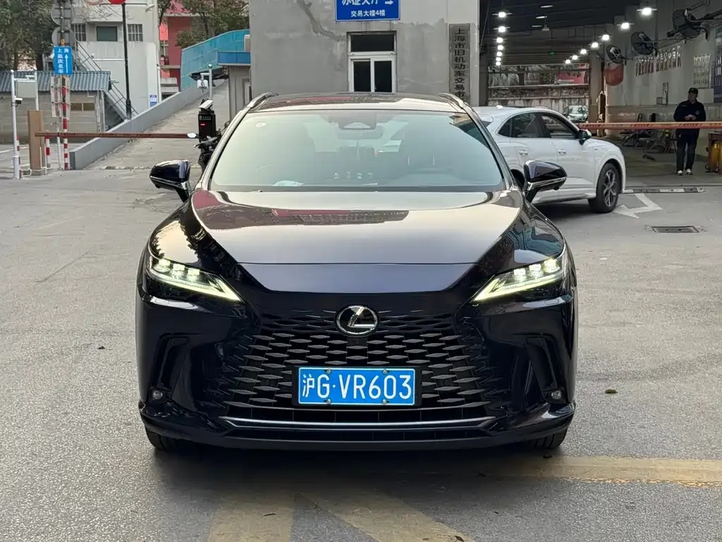 Lexus RX 2024 из CN, фото 1