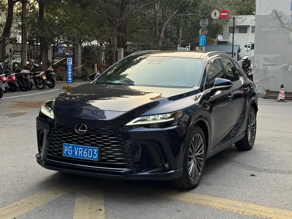 Lexus RX 2024 из CN, фото 5