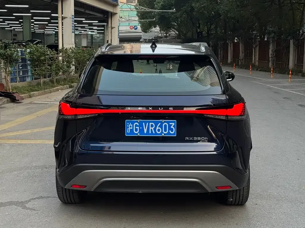 Lexus RX 2024 из CN, фото 6