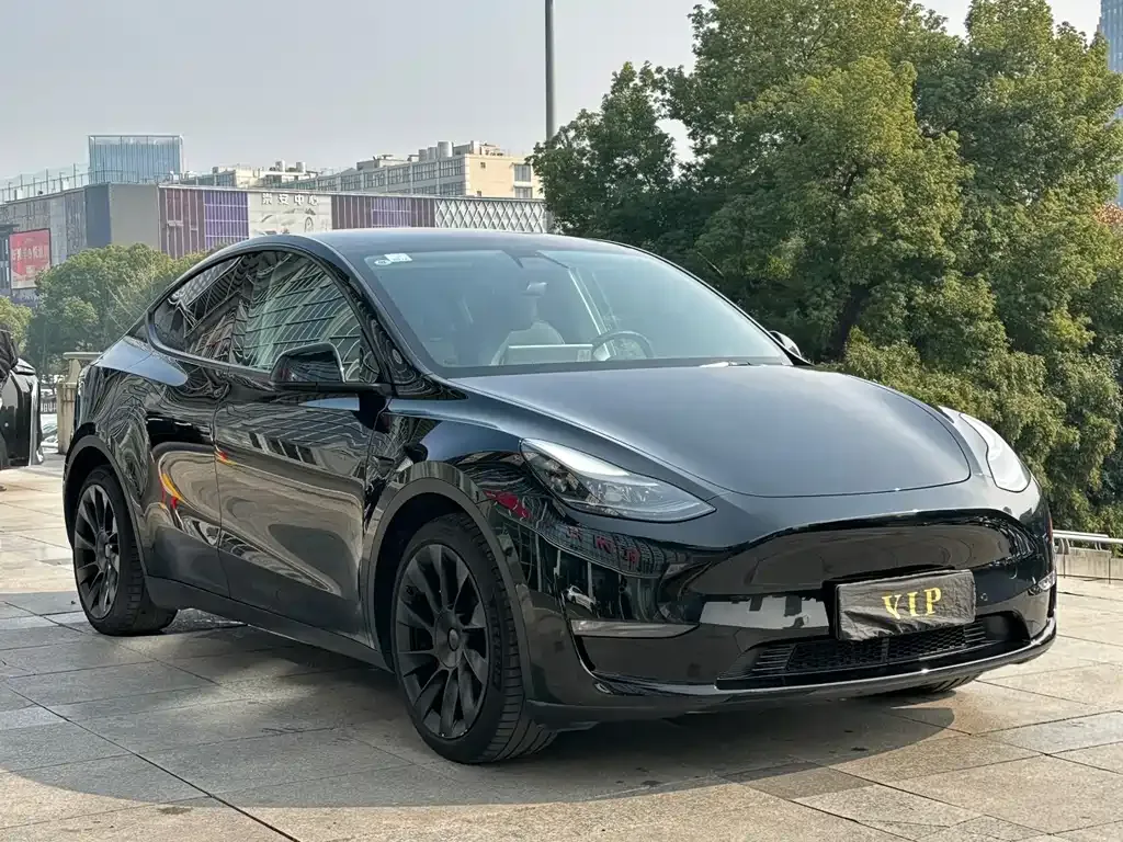 Tesla Model Y — фото 7