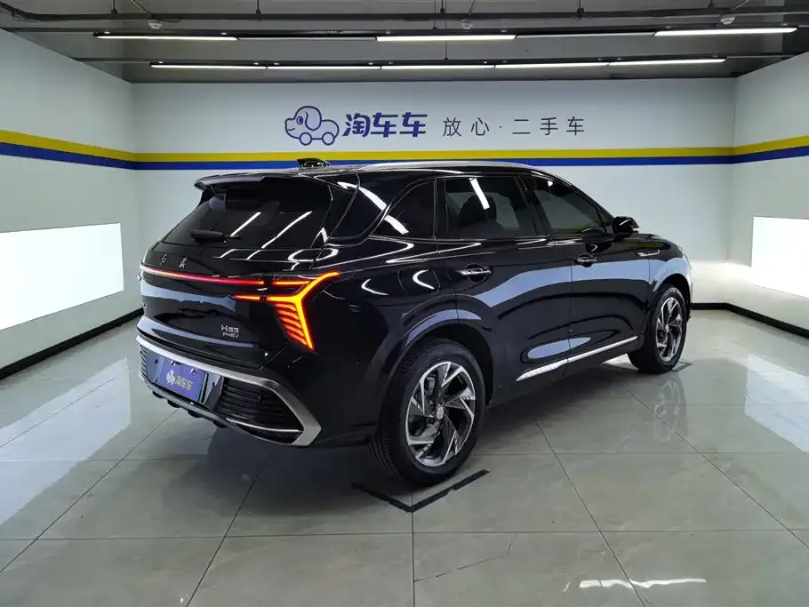 Hongqi HS3 PHEV 2024 из CN, фото 7