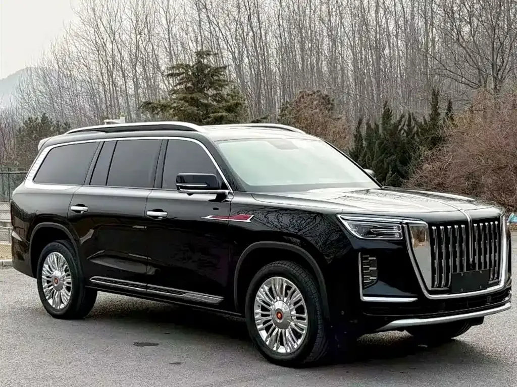 Hongqi Golden Sunflower Guoyao 2022 из CN, фото 8