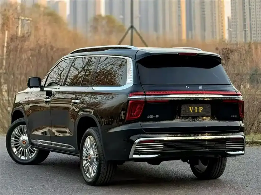 Hongqi Golden Sunflower Guoyao 2022 из CN, фото 4