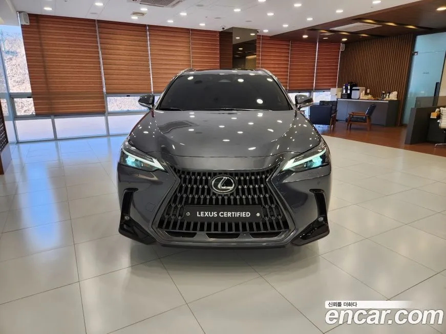 Lexus NX 2023 из KR, фото 2
