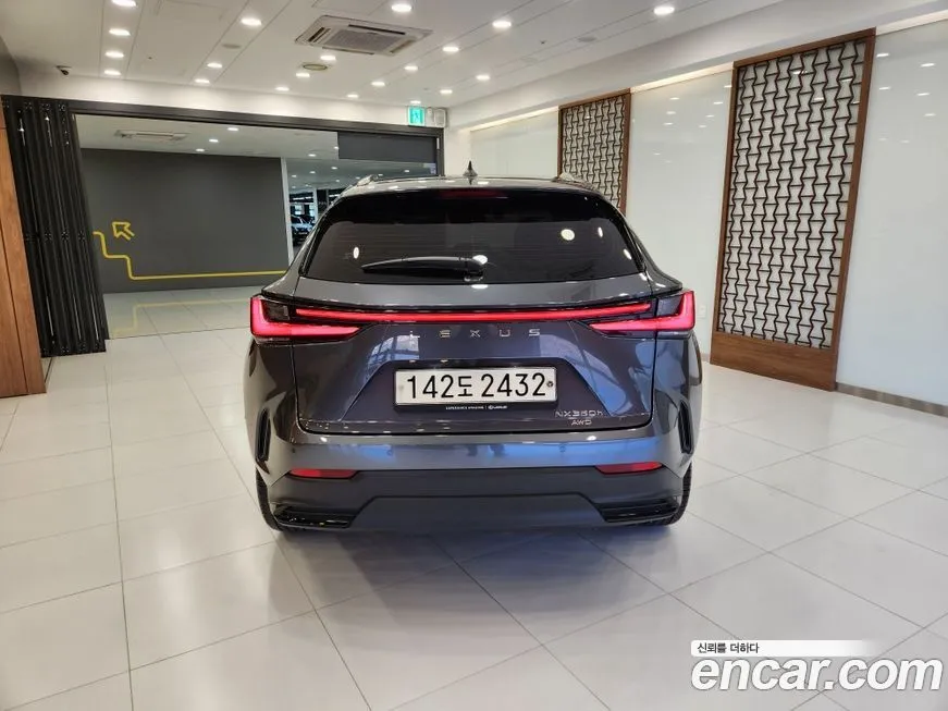 Lexus NX 2023 из KR, фото 6